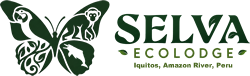 Selva Ecolodge