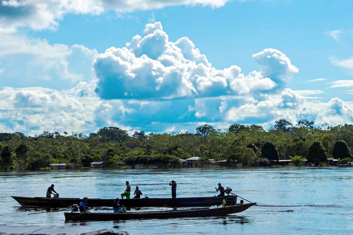 Selva Ecolodge